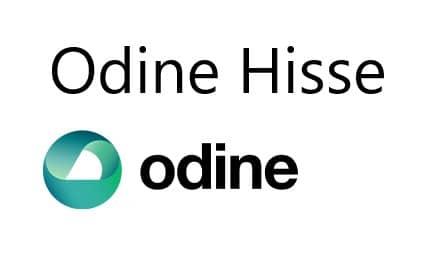 Odine Hisseleri Üzerine Derinlemesine Bir Bakış