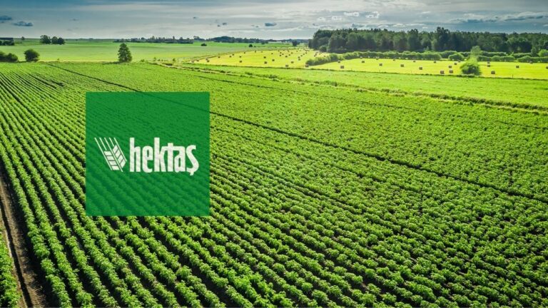 Pazartesi Borsa Analizleri: Bu Hisse Tavan Yapar mı?